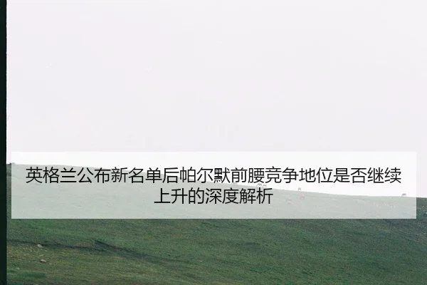 英格兰公布新名单后帕尔默前腰竞争地位是否继续上升的深度解析