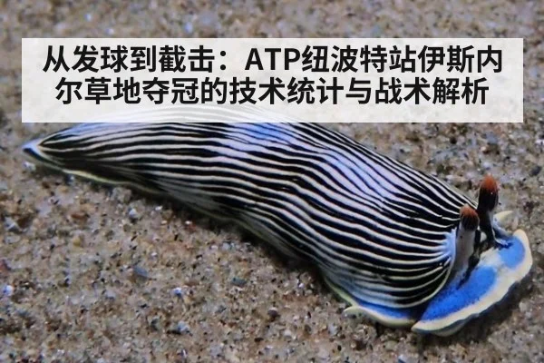从发球到截击:ATP纽波特站伊斯内尔草地夺冠的技术统计与战术解析